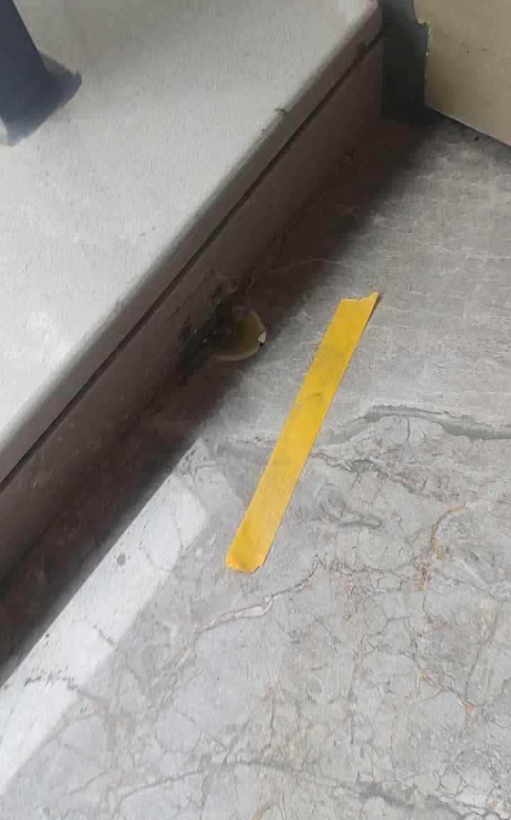 昆明验房现场照片 · 阳台 · 地面地砖破损